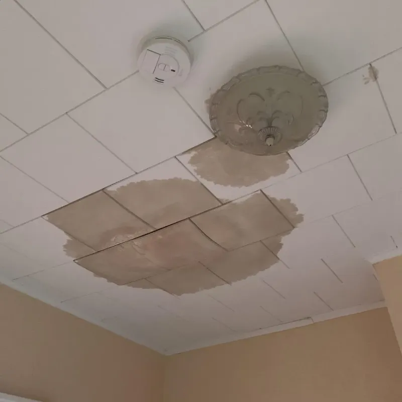 Ceiling Water Damage Repair in Estherville, IA